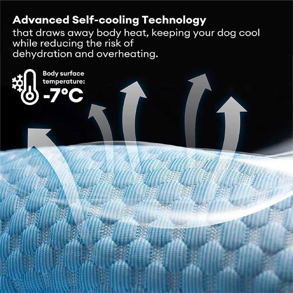 WagLab™ Orthopedic Dog Bed